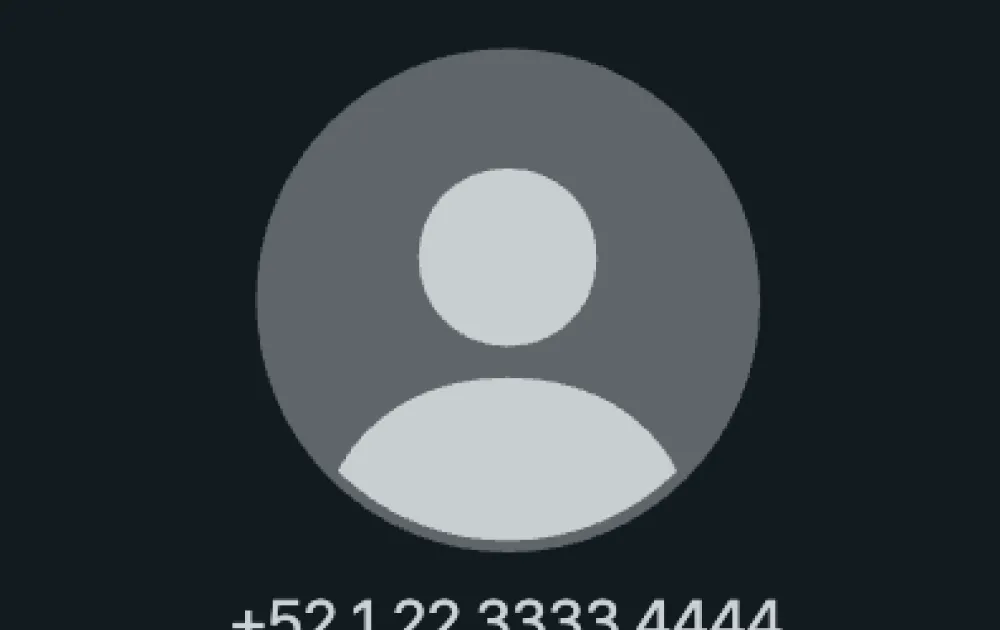 El chat